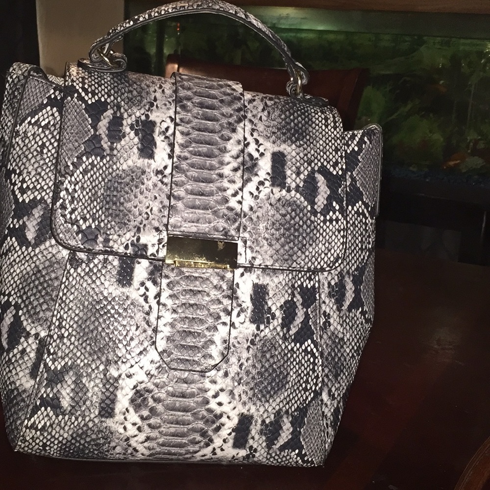 Back pack purse